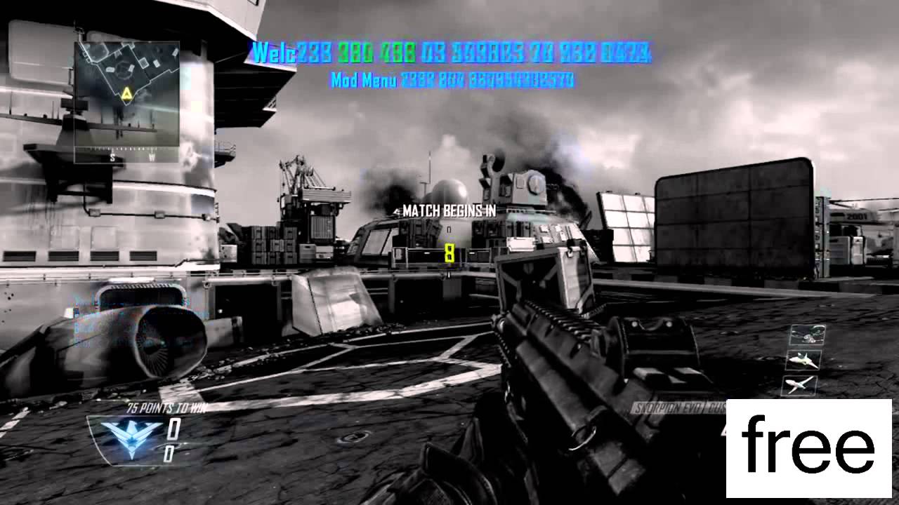 download aimbot for bo2